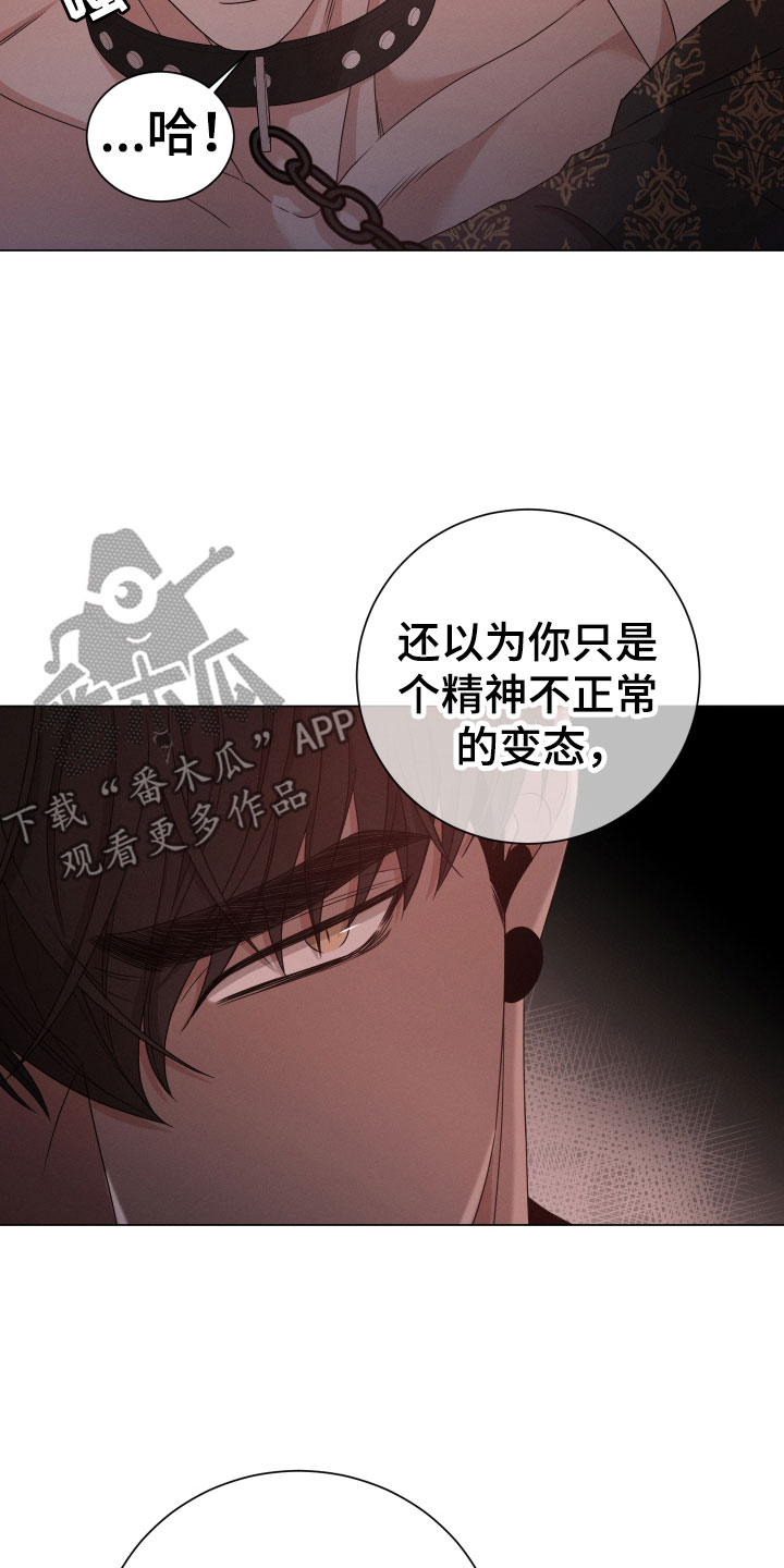 第7章：很可怜17