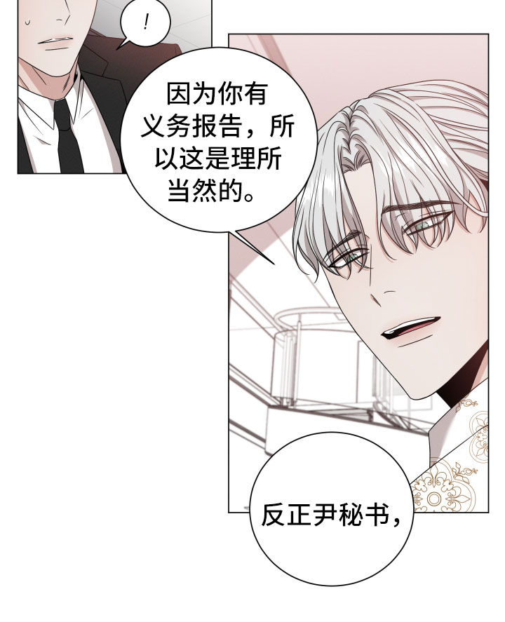 第13章：报告11