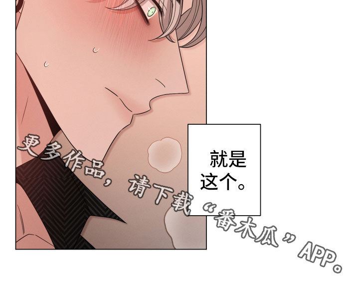 第46章：选择20