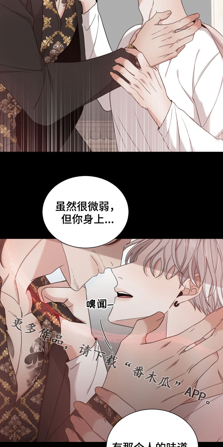第58章：黑社会27