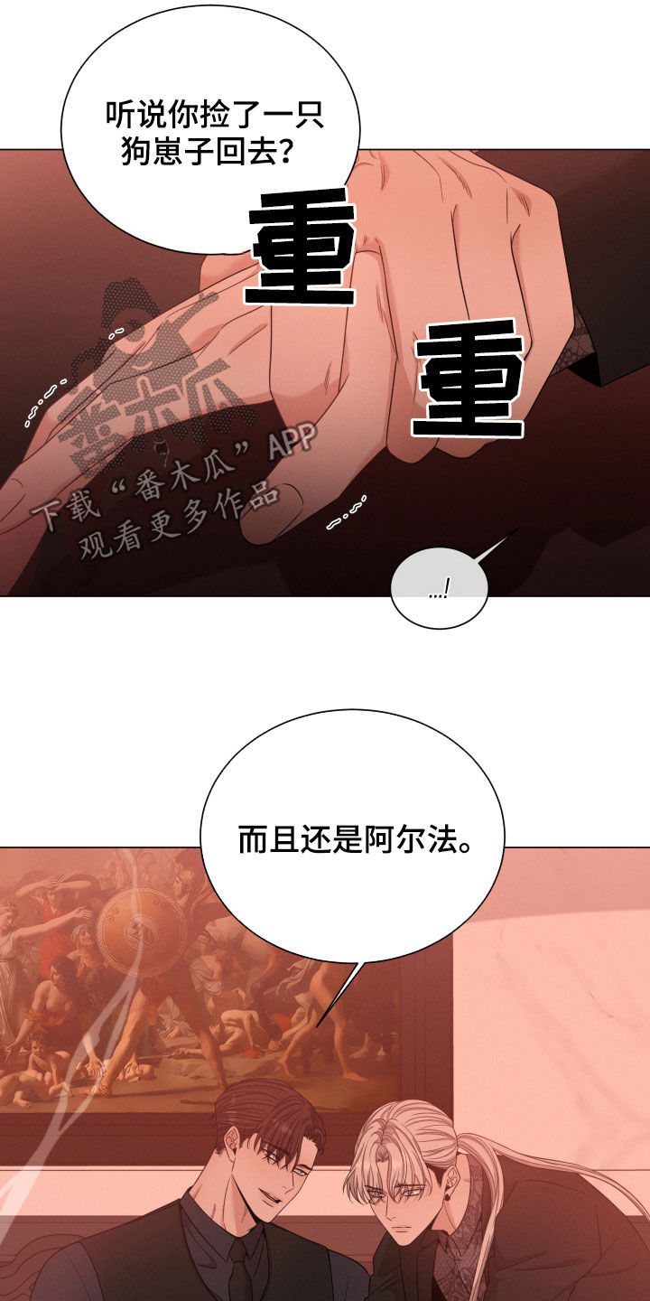 第24章：名贵的种类19