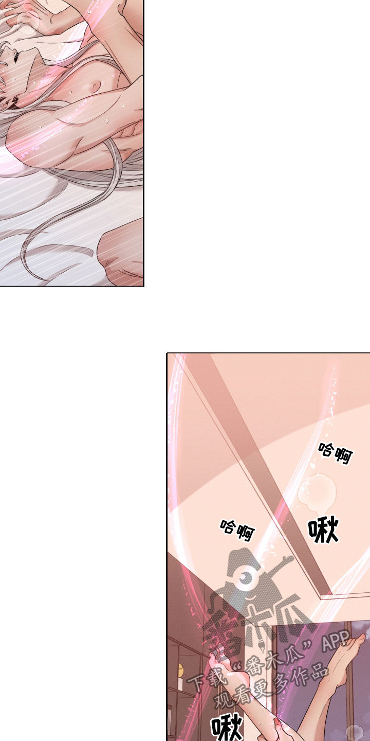 第28章：特征消失15