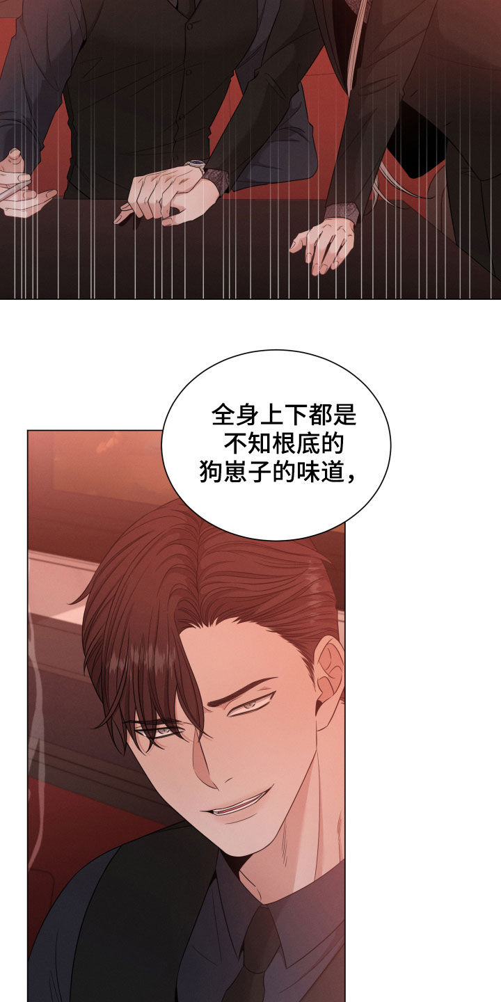 第24章：名贵的种类20