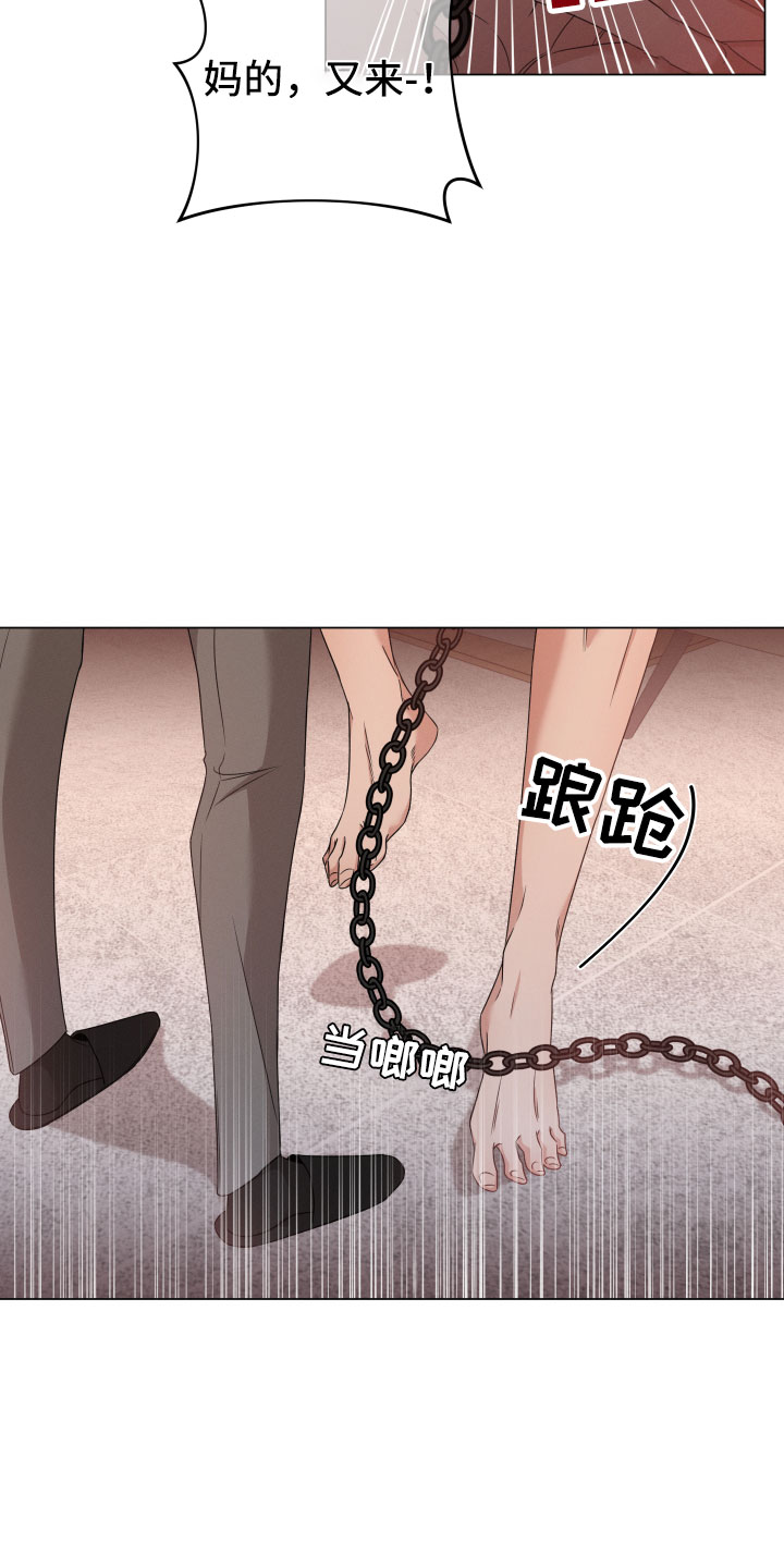 第13章：报告20