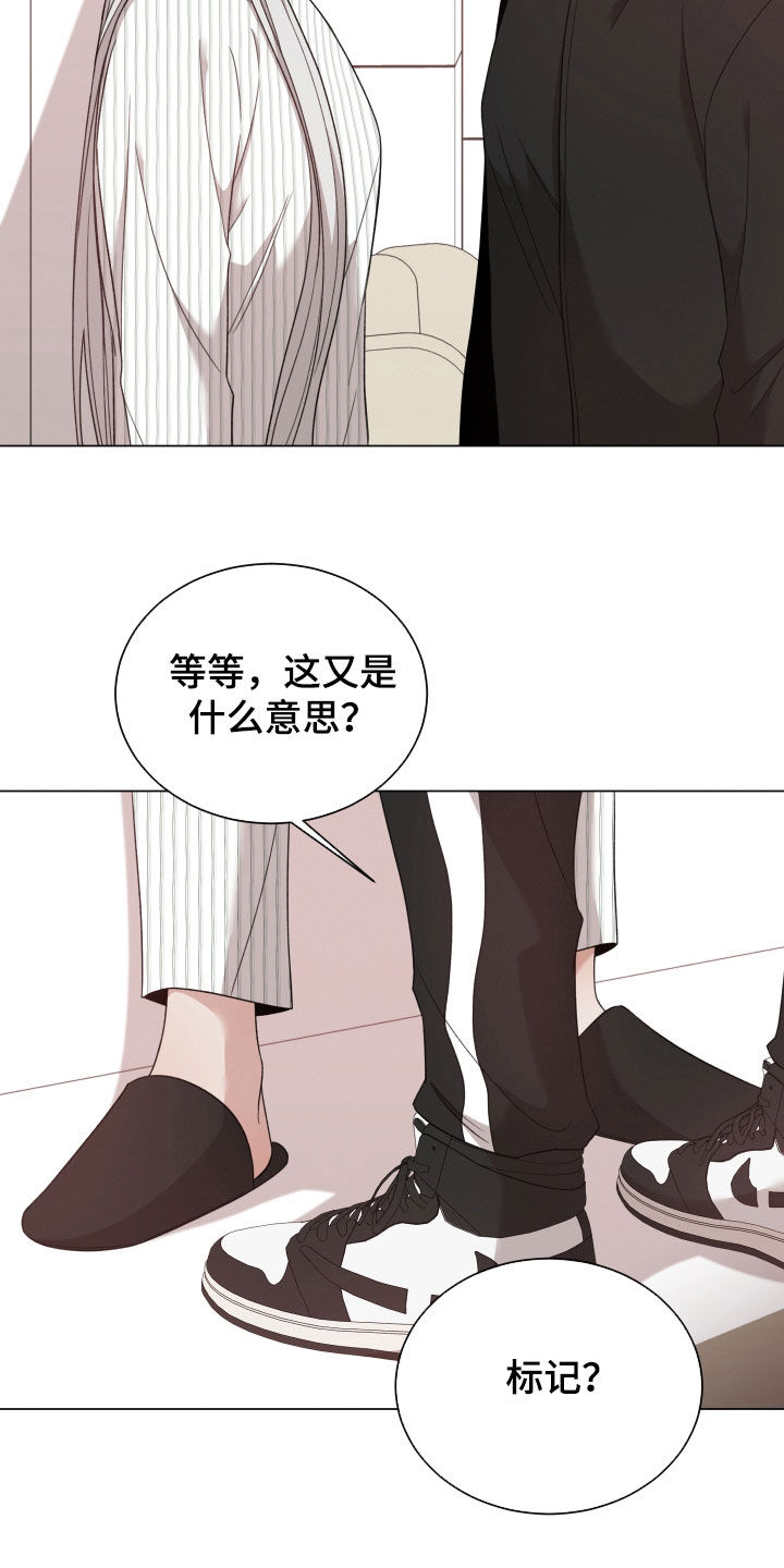 第100章：【第二季】推开19