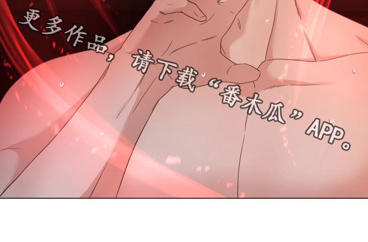 第47章：看清楚了20