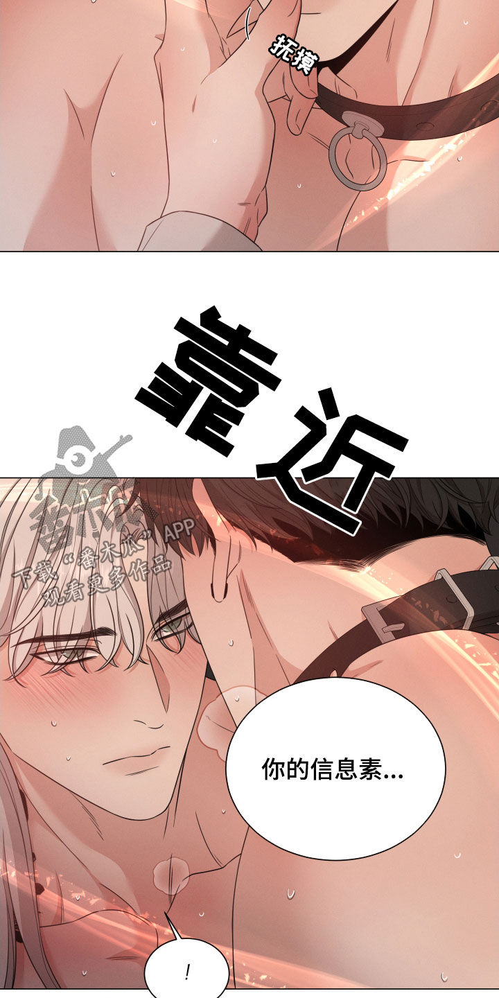 第41章：没人可以动你6