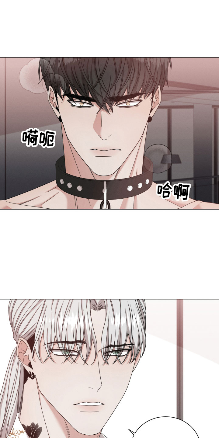 第11章：听说5