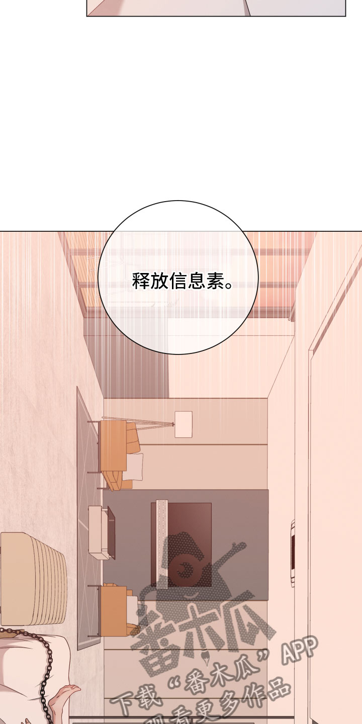 第13章：报告23