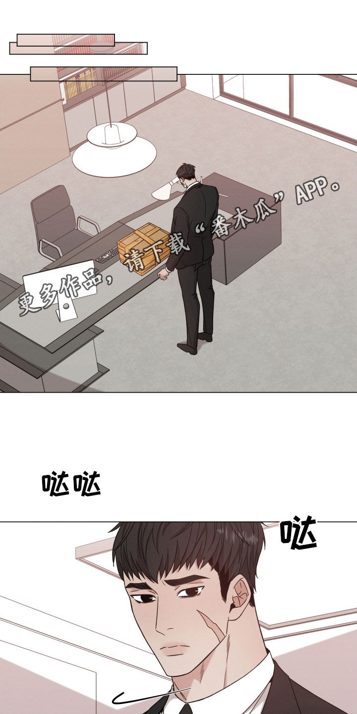 第116章：【第二季】包裹0