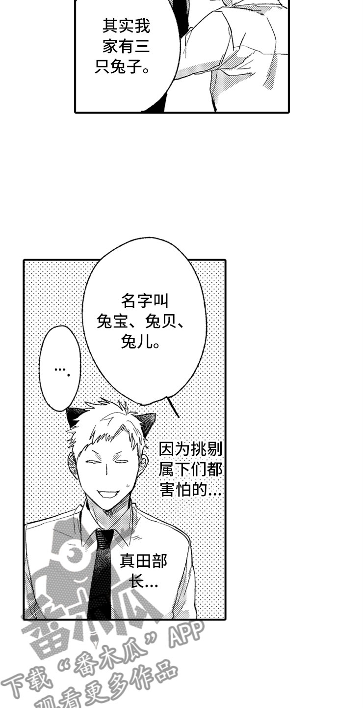 第7章：最喜欢兔子15