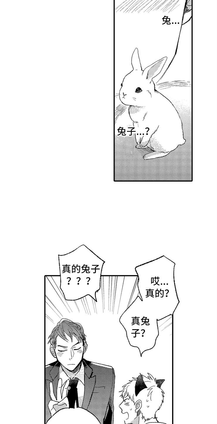 第7章：最喜欢兔子14