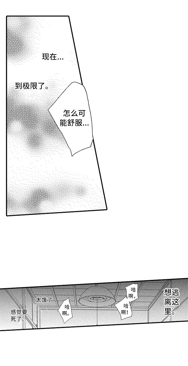 第16章：伪装高手18