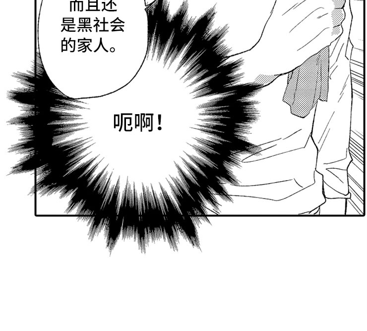 第21章：黑社会女儿20