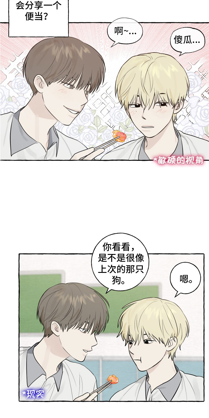 第8章：小狗11