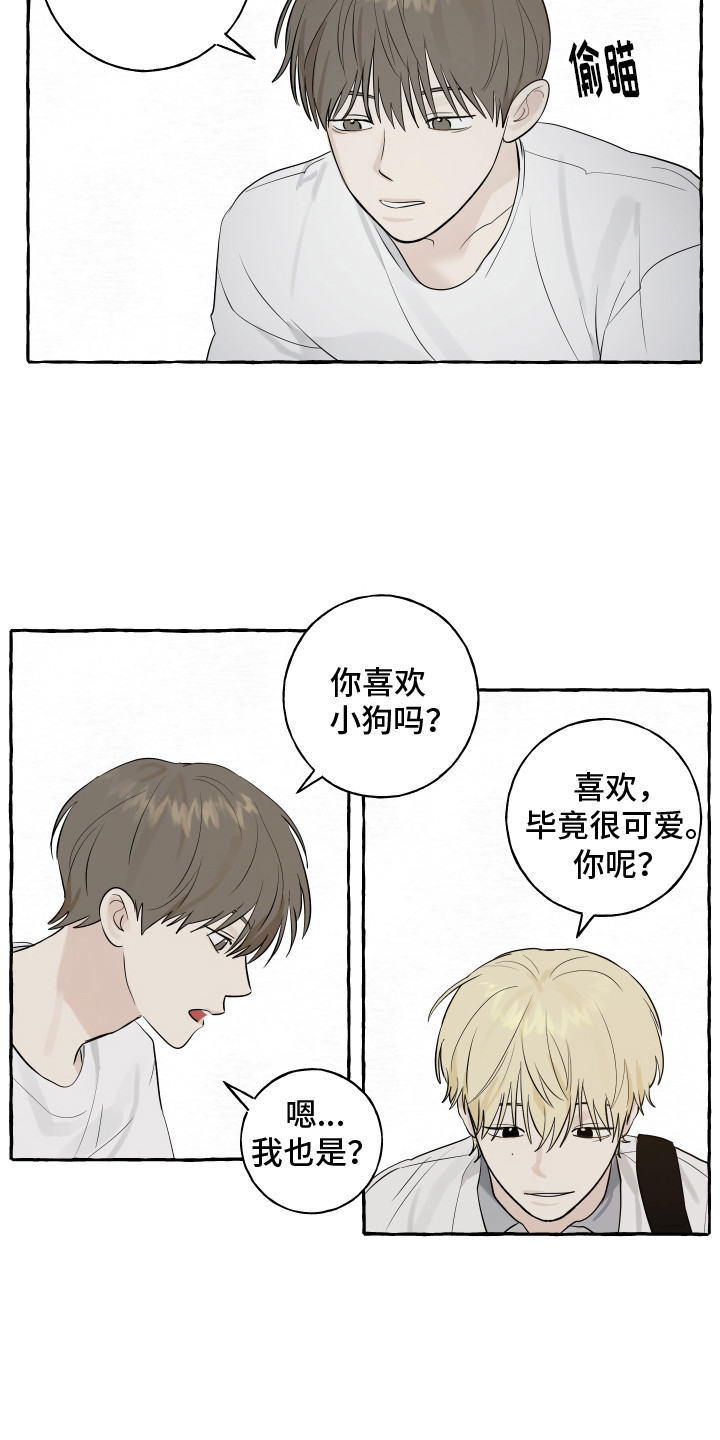 第8章：小狗8