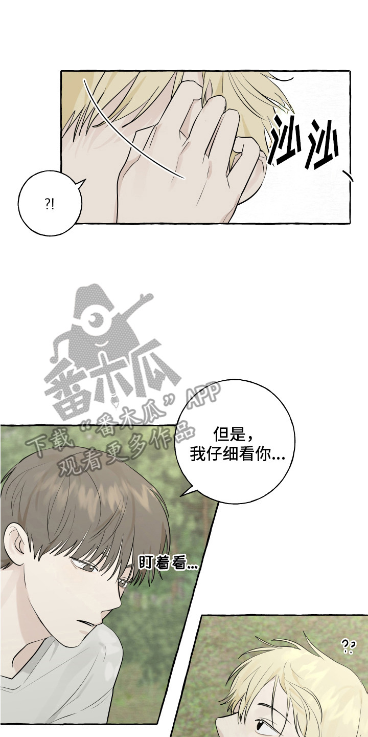 第13章：充满活力16