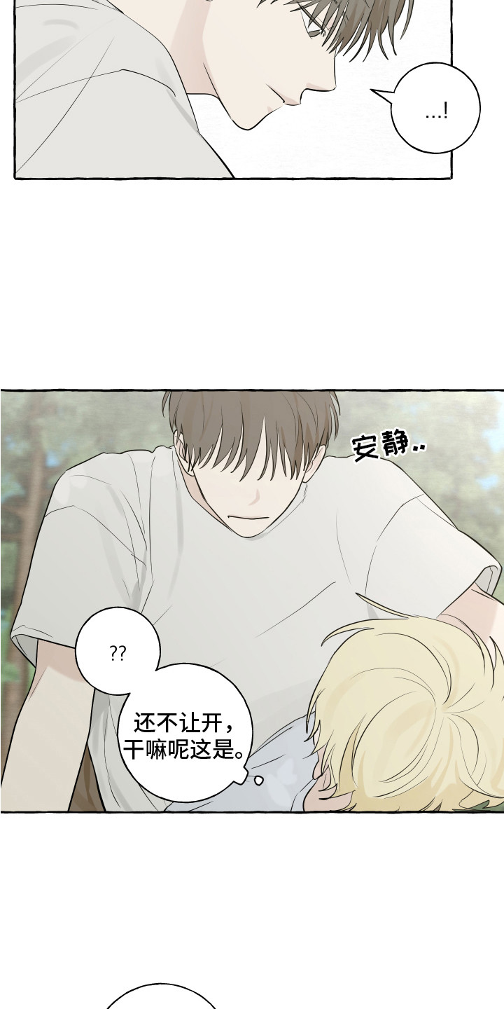 第13章：充满活力14