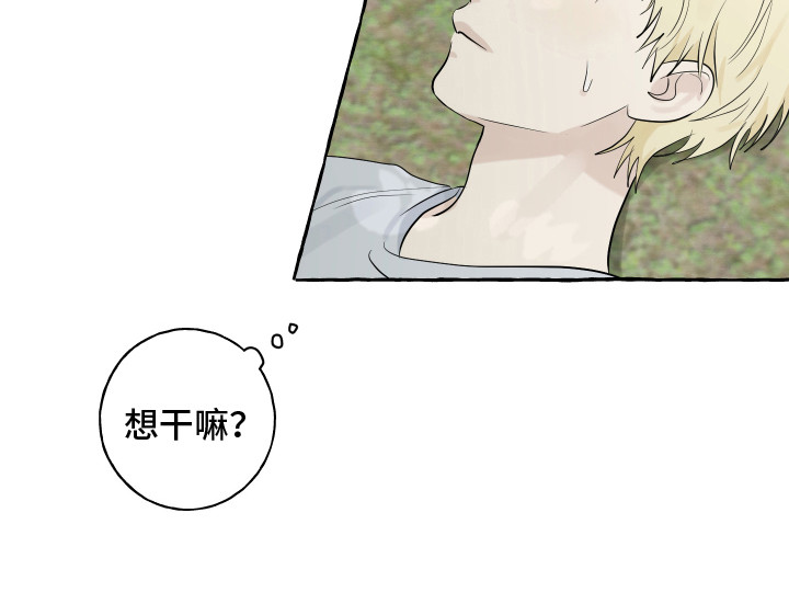 第13章：充满活力17