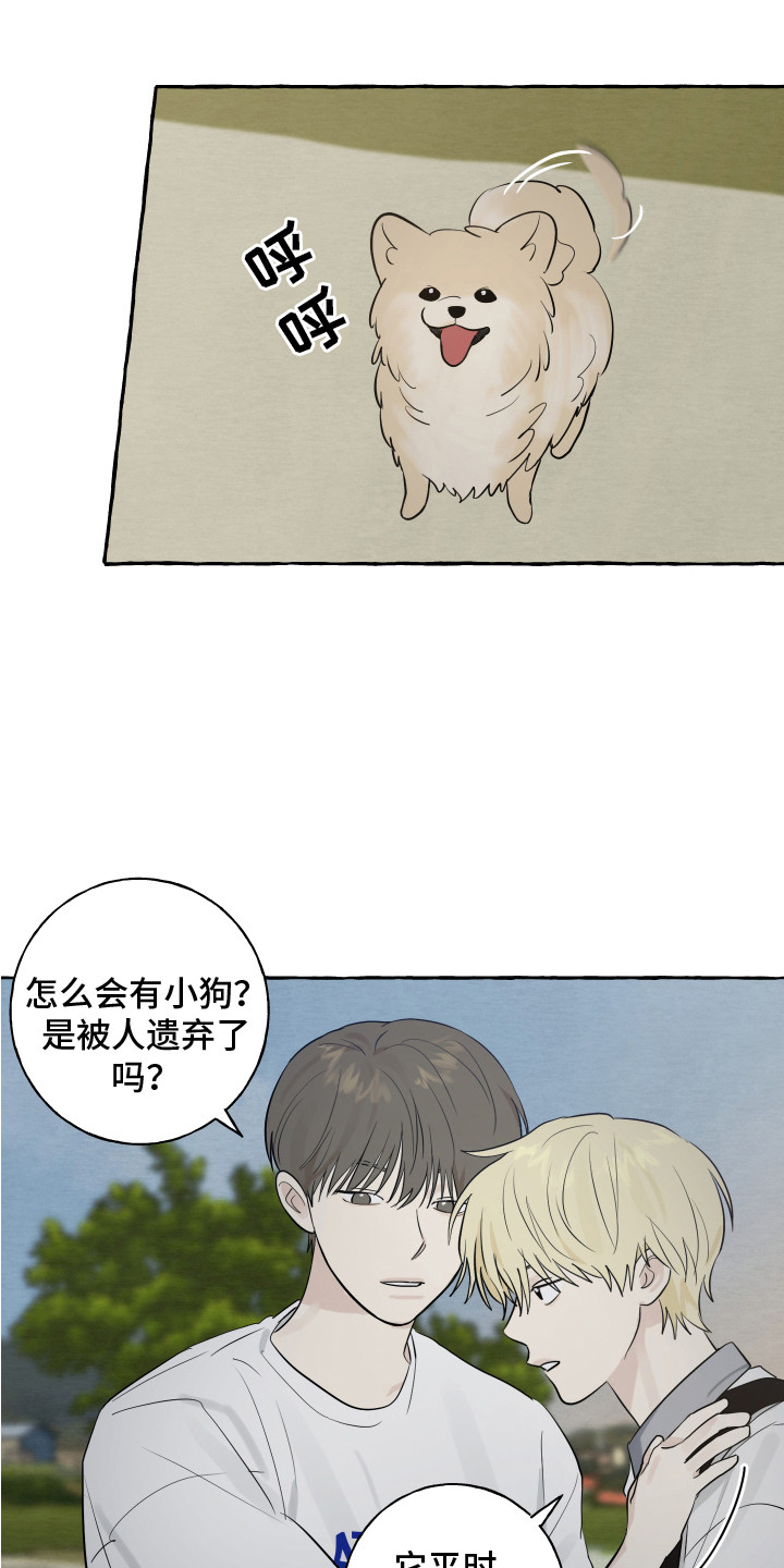 第8章：小狗6