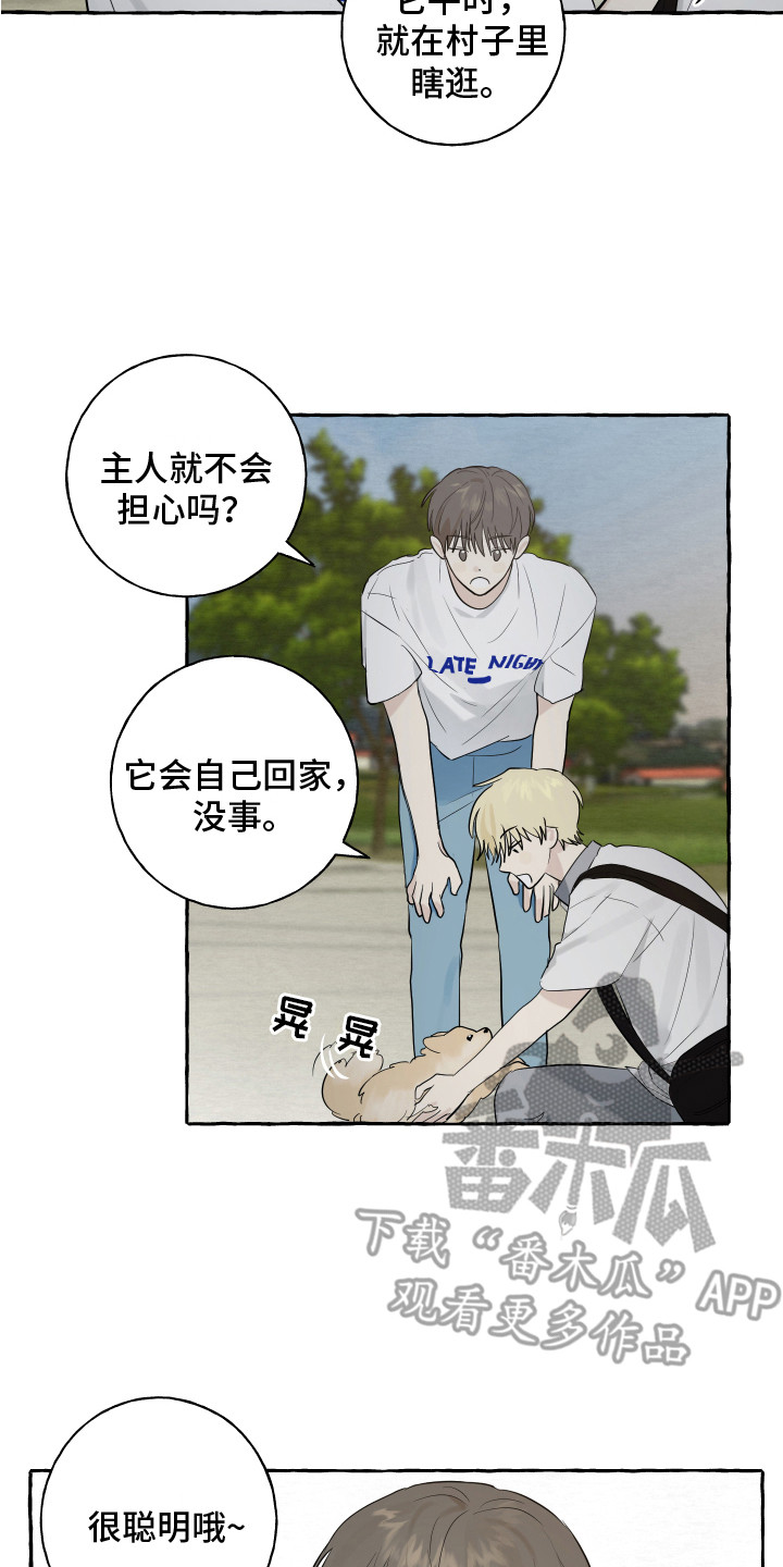 第8章：小狗7