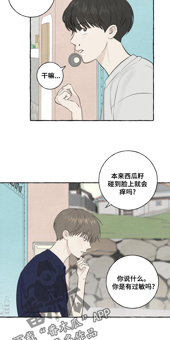 第17章：吐西瓜籽13