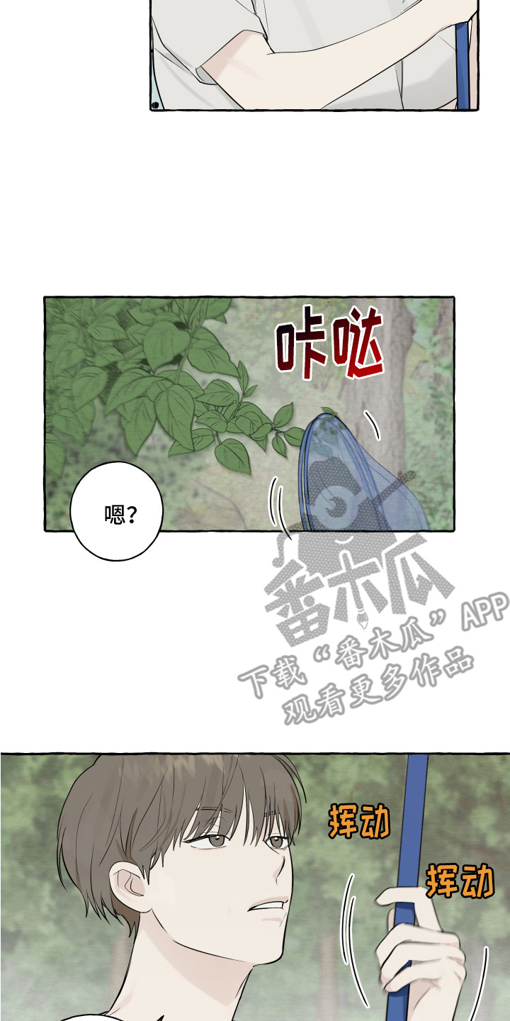 第13章：充满活力7