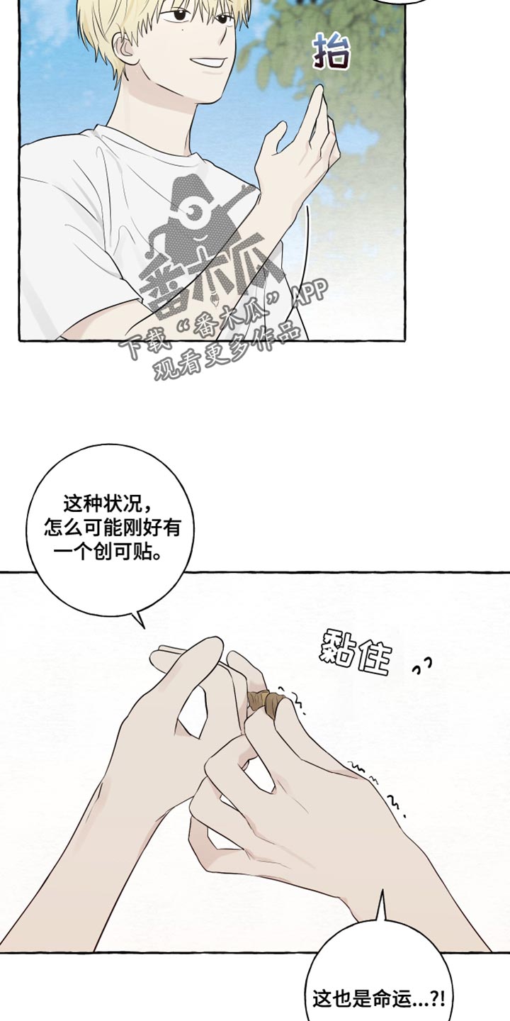 第39章：命运14