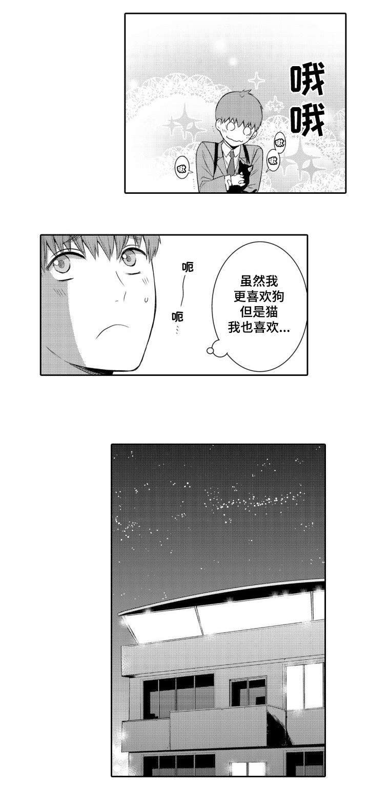 第56章：养猫3