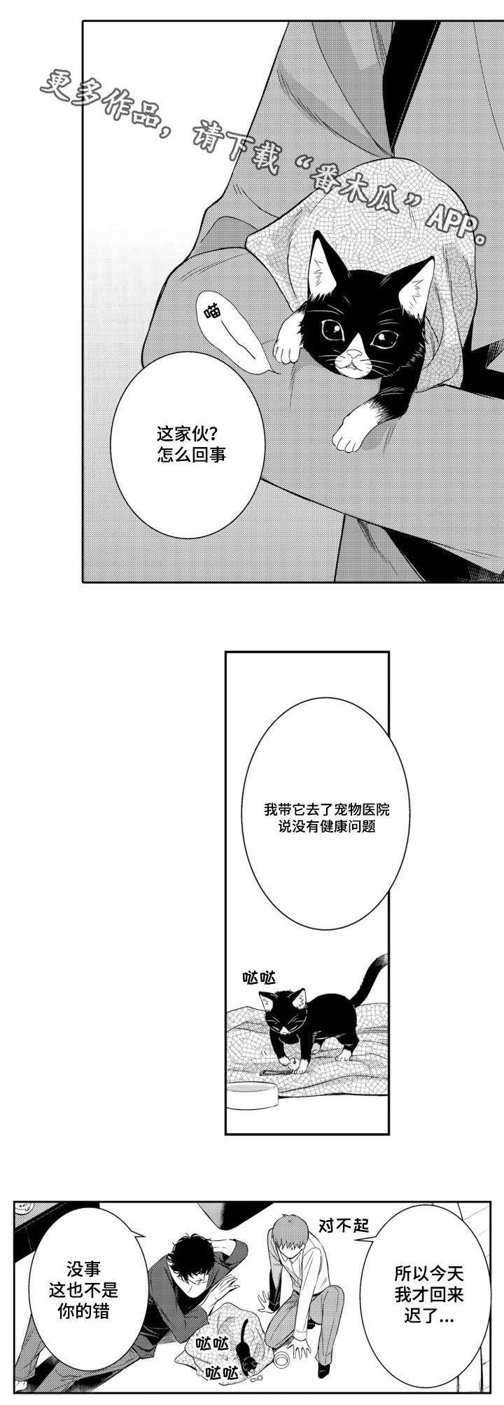 第56章：养猫5