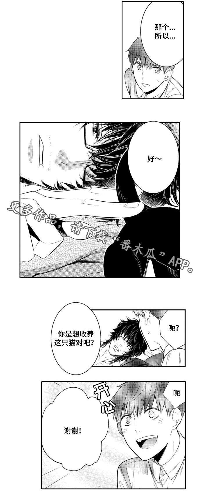 第56章：养猫6