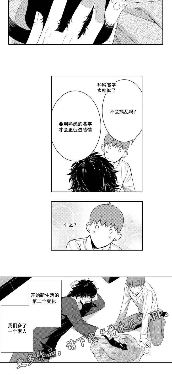 第56章：养猫8