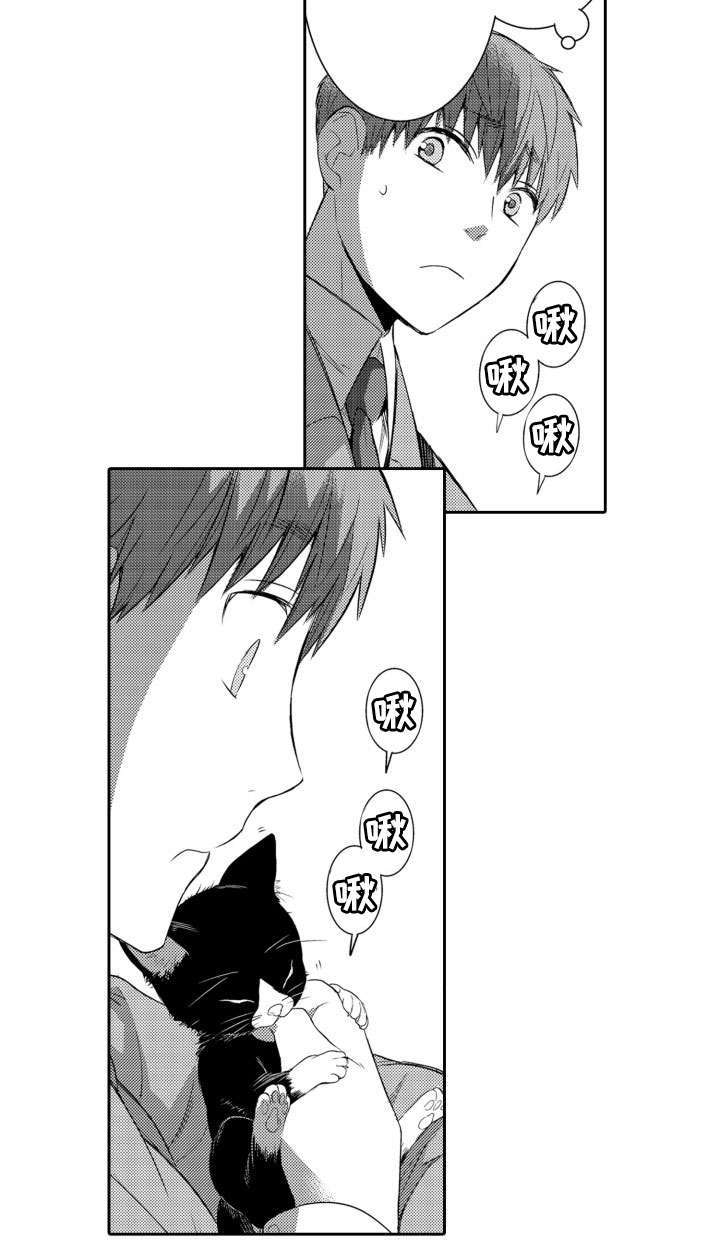 第56章：养猫2