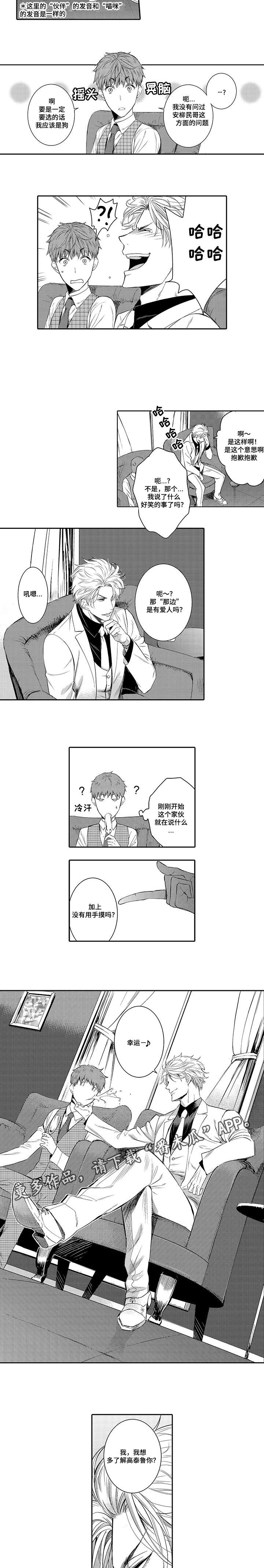 第11章：猫咪1