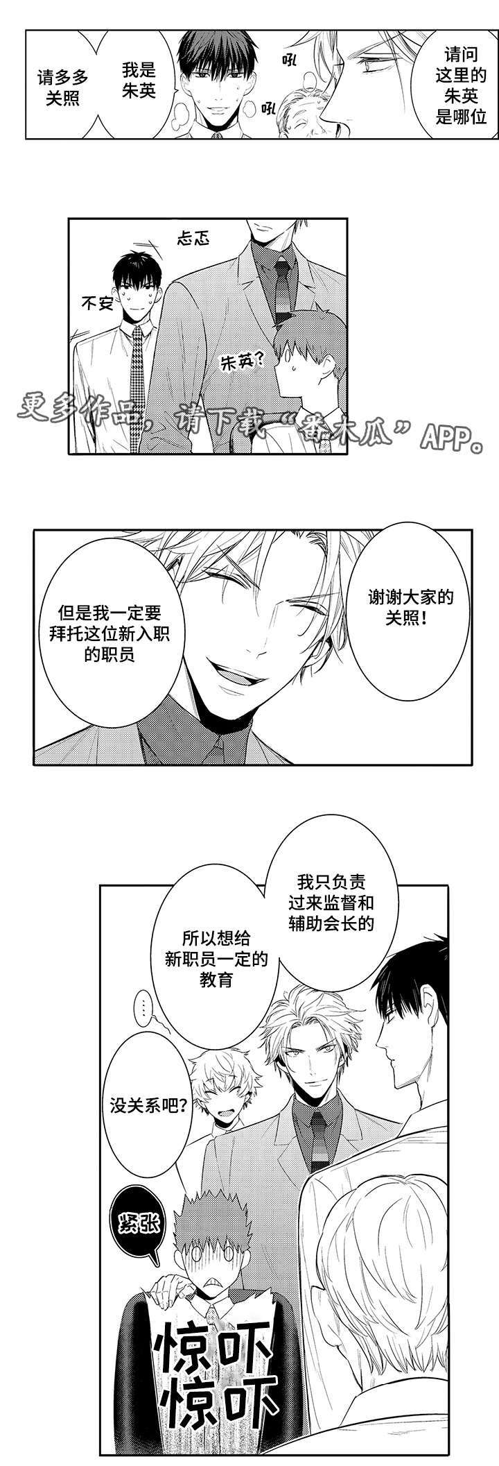 第64章：介绍公司5