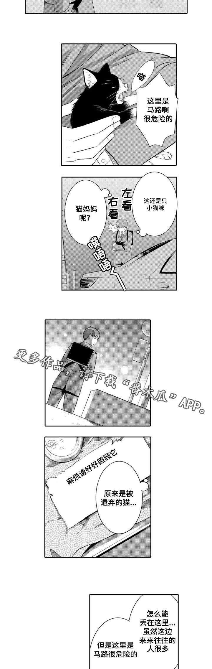 第56章：养猫1