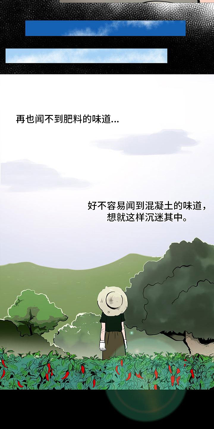 第4章：人气组合17
