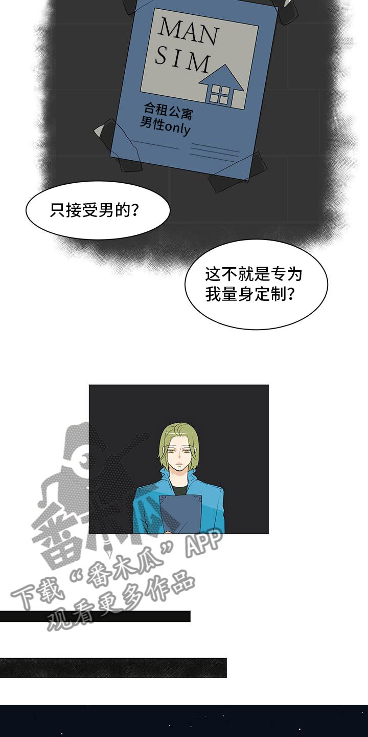 第14章：流落街头11