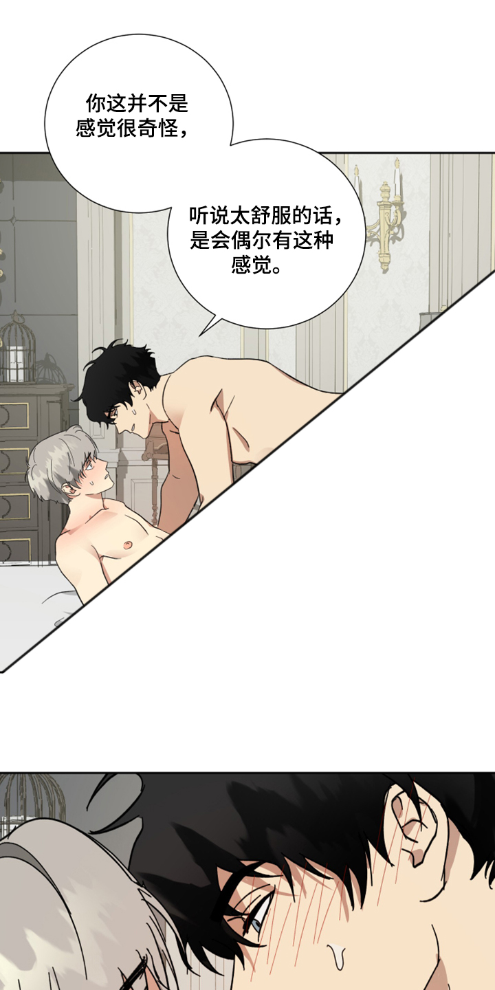 第66章：【第二季】您一定要幸福19
