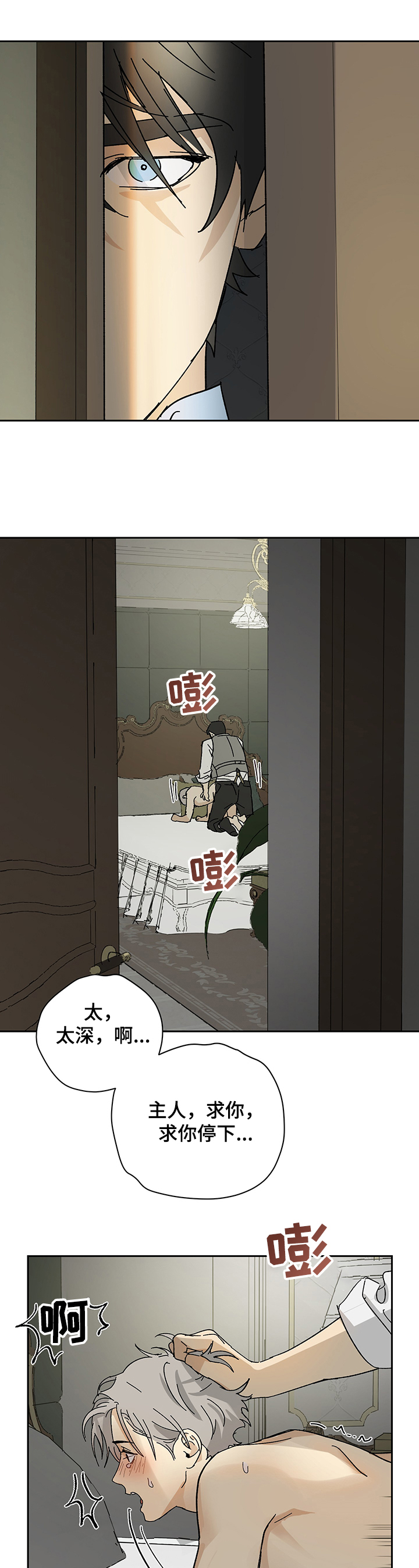 第37章：亲眼目睹12
