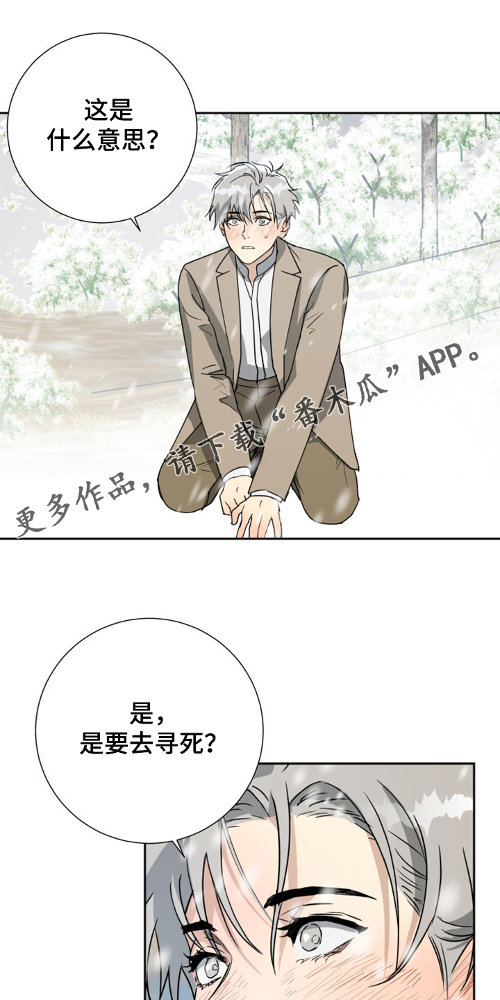 第95章：【第二季】是要寻死？0