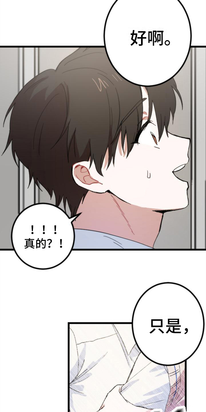 第26章：条件11