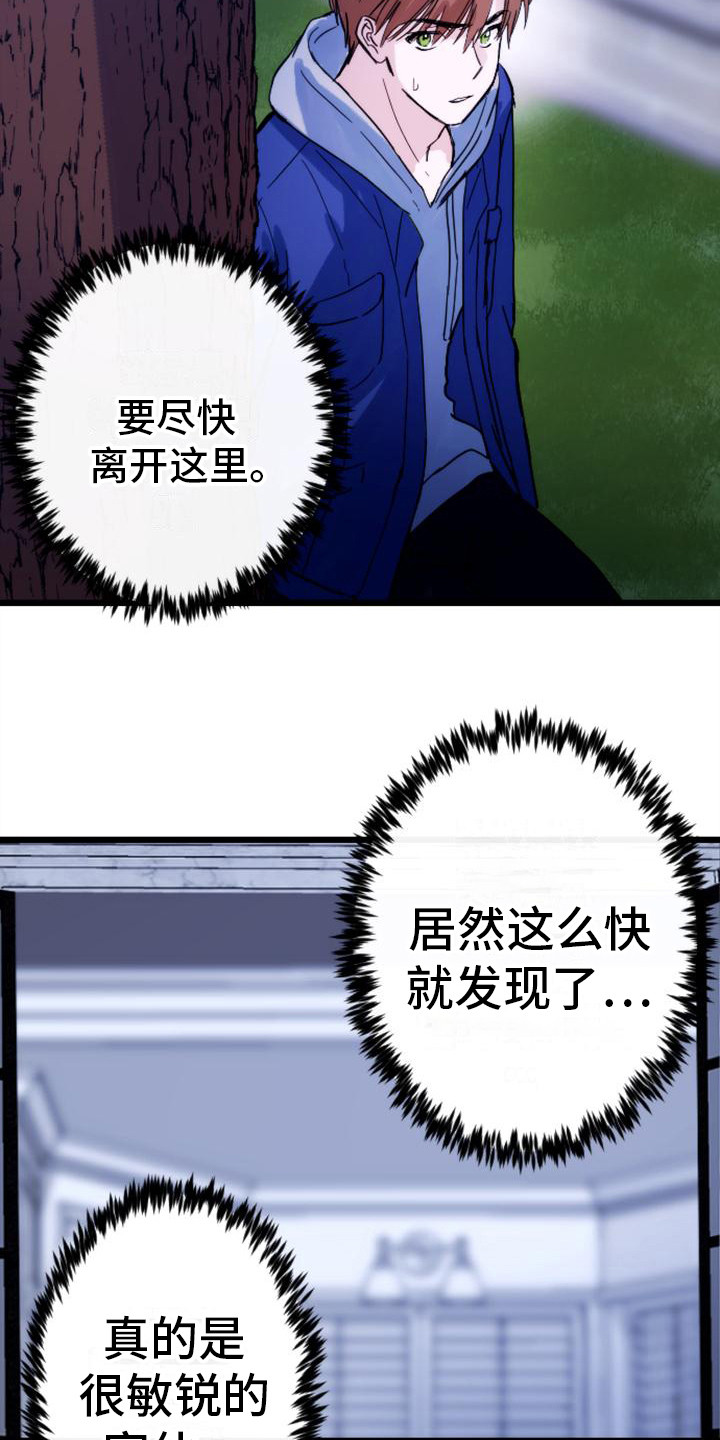 第29章：请相信我18