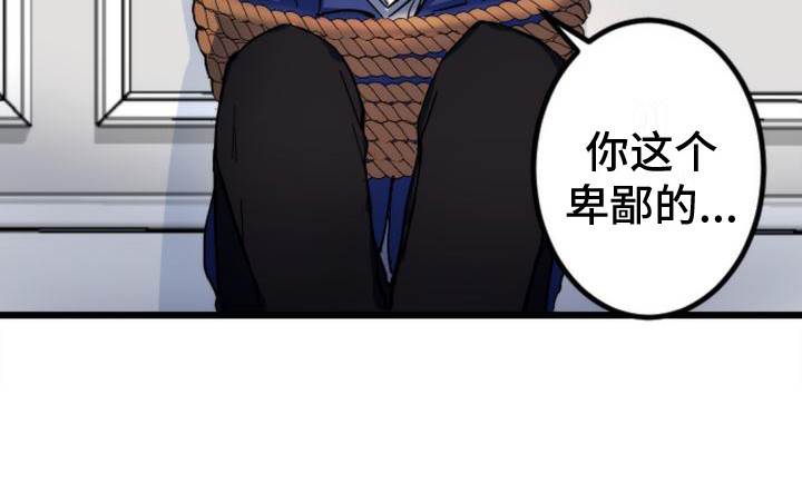 第26章：条件21