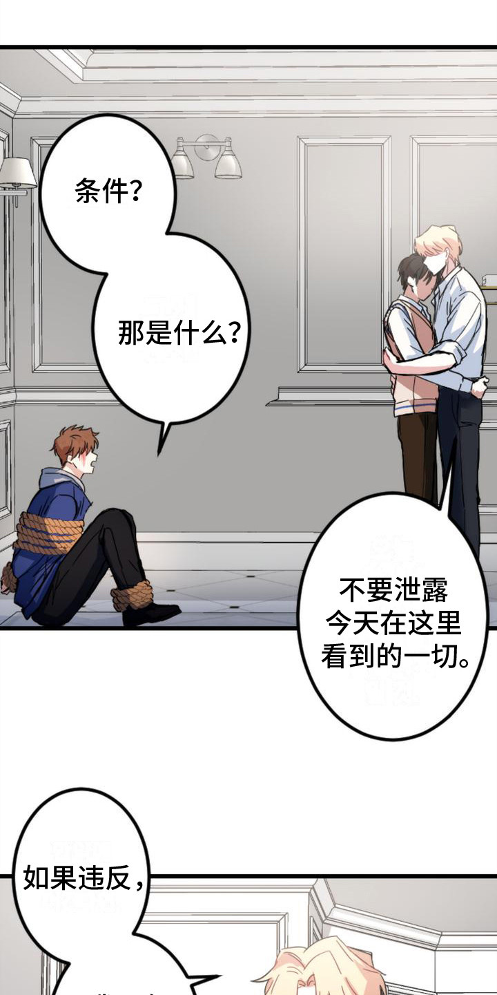 第26章：条件17