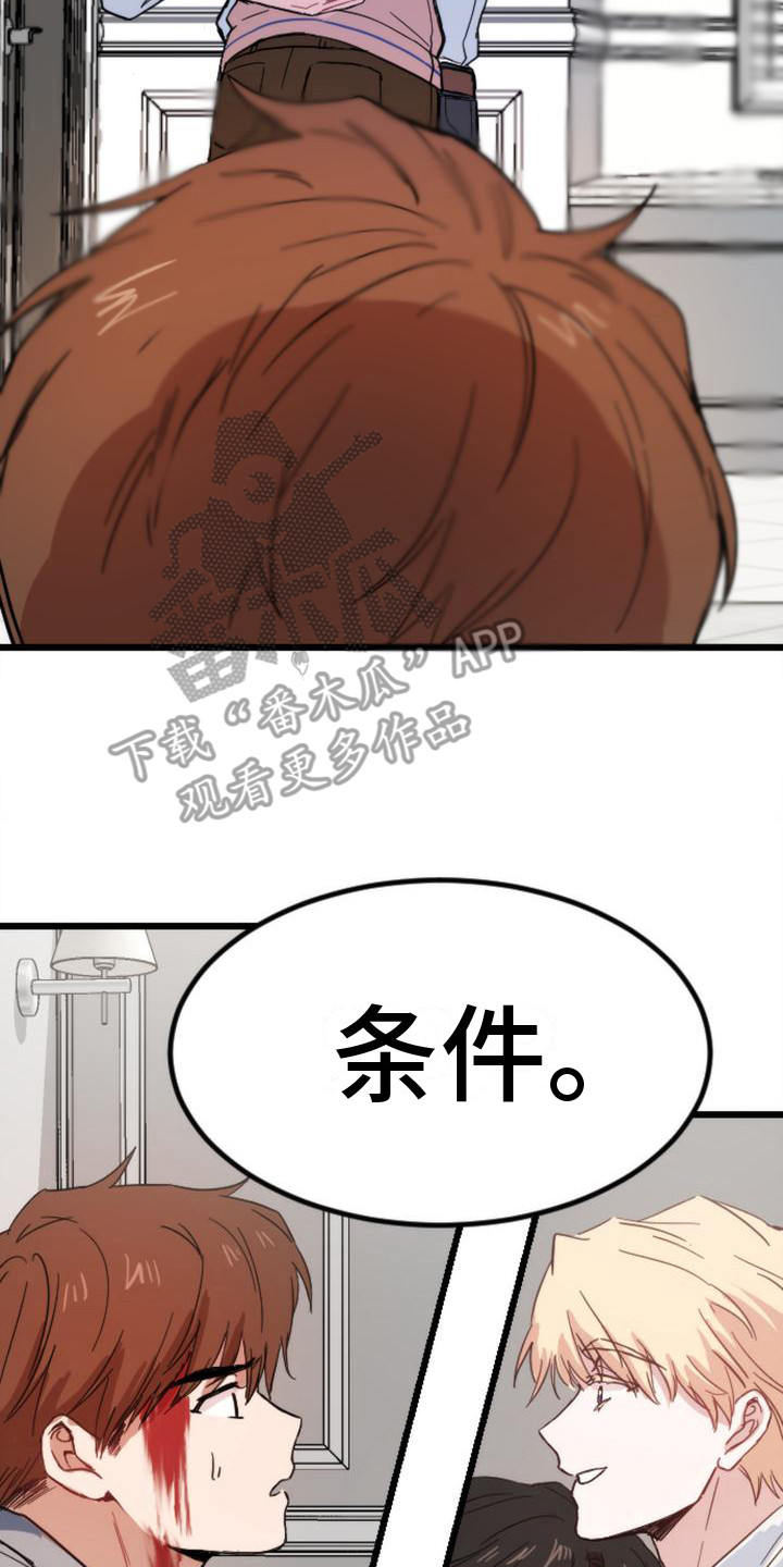 第26章：条件13