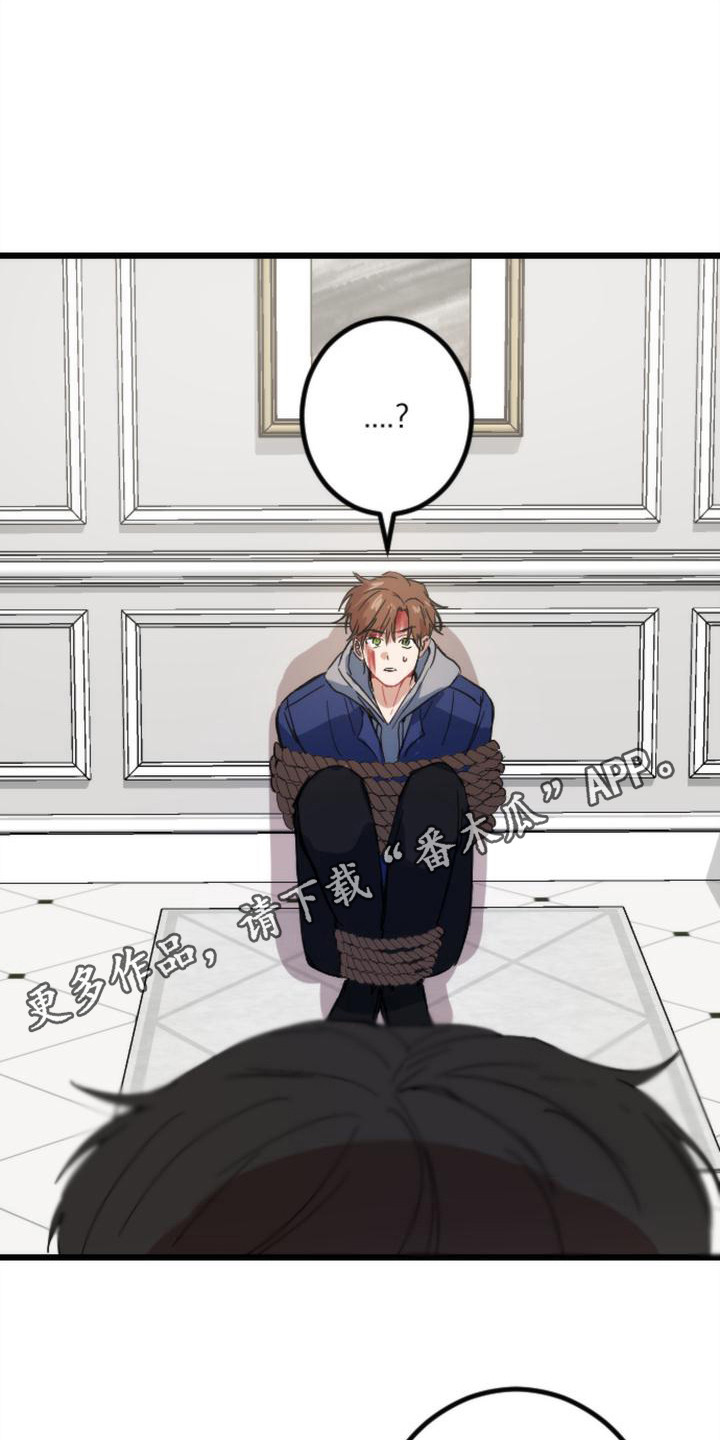 第26章：条件10