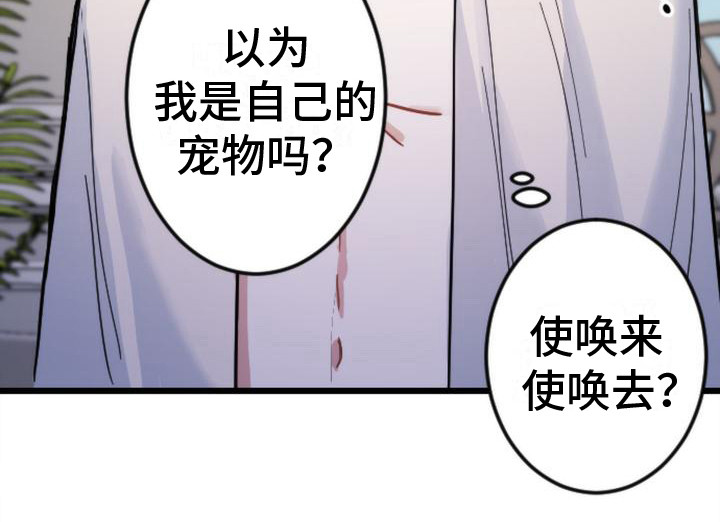 第19章：很极端21