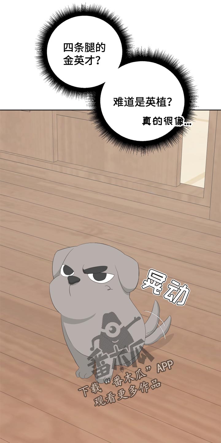 第76章：【第二季】四条腿的金英才23