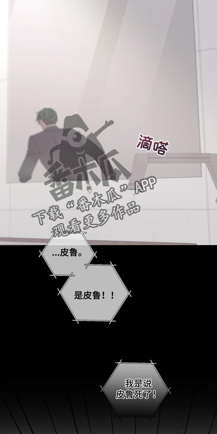 第142章：【第二季】低调点7